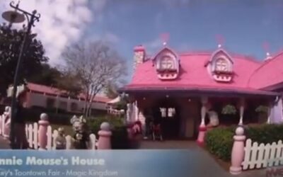 90’S MINNIE MOUSE’S HOUSE AT MICKEY’S TOONTOWN FAIR